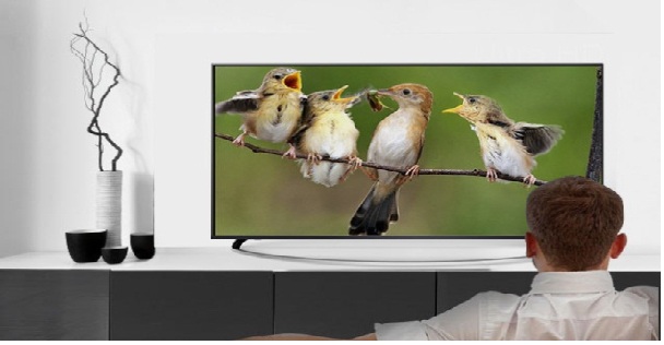 EcoStar States Suitable Distance & Height of Screen while watching TV