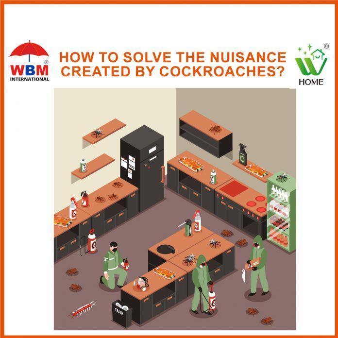 WBM-Home-Cockroach-Glue-Trap-natural-repellent-method