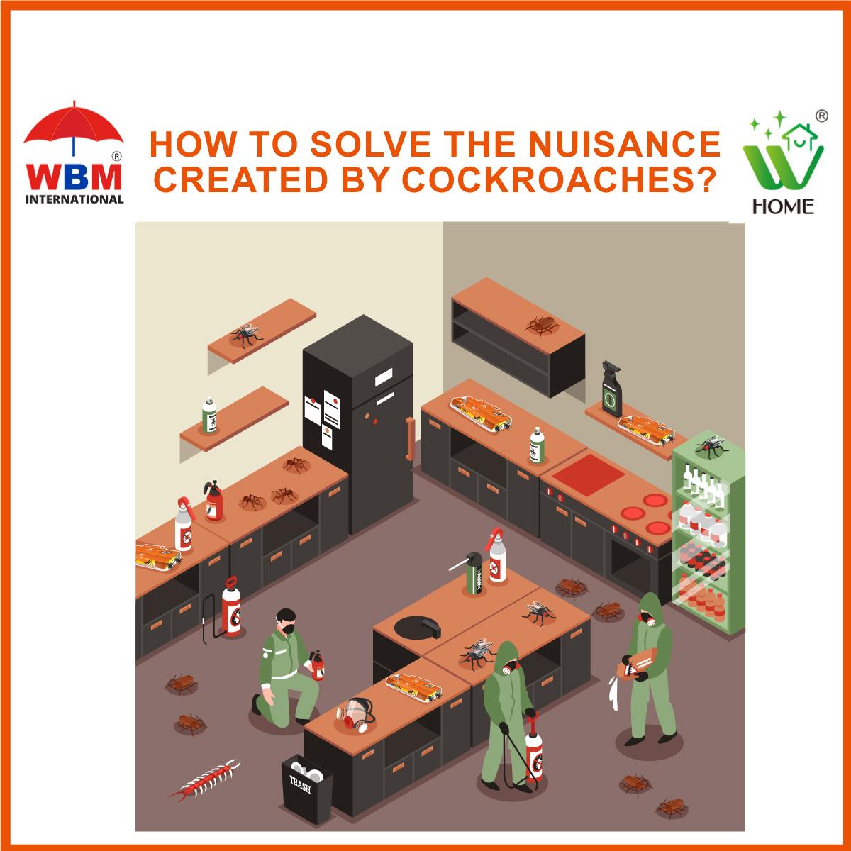 KEEP YOUR HOME AND KITCHEN COCKROACH-FREE BY WBM INTERNATIONAL