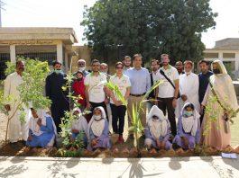 zong-organizes-tree-plantation