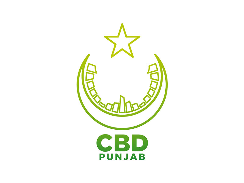 CBD Punjab Achieves Target Of 50+ Beam Piles Per Day