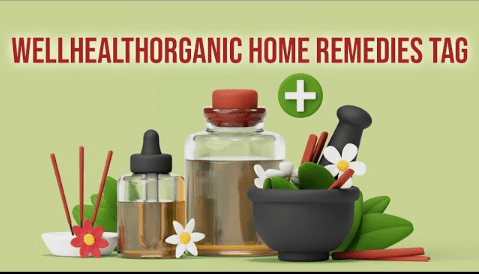 Navigating Nature’s Healing Path: The Comprehensive Guide to Wellhealthorganic Home Remedies