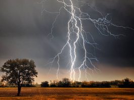 Tragedy Strikes Kasur as Farmer Killed by Lightning Kasur