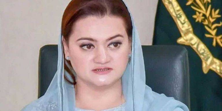 Minister’s Maid Faces Deportation Over $6,000 Overstay Fine, PM’s Intervention Sought