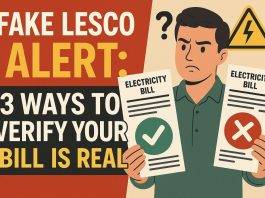 Fake LESCO Bill Online Check Alert Ways to Verify Online