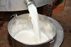 Nationwide Call for Strong Legal Reforms Against Adulterated Milk, Desi Ghee, and Contaminated Food Products