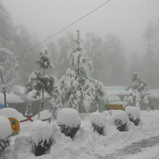 Rain in Murree and Snowfall in Galiyat Increase Cold Intensity