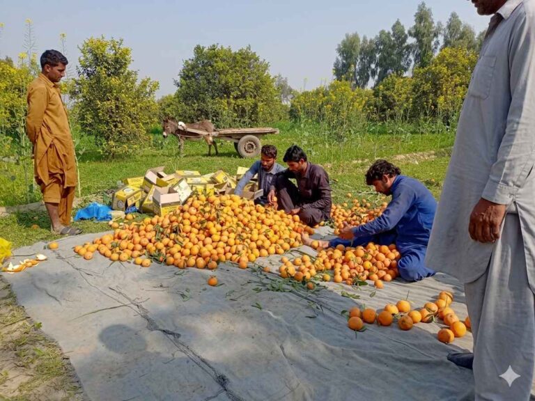 Pakistan Plans Major Boost in Farm Exports via Gwadar