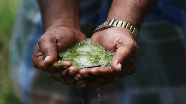 Tata Electronics Factory Faces New Investigation Over Water Pollution Concerns Near iPhone Component Plant