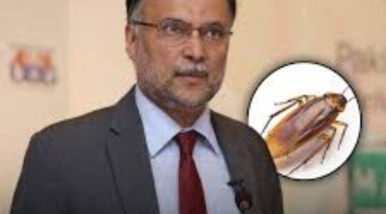 Pakistanis Are Not Cockroaches: Ahsan Iqbal Rejects Hurtful Comparison