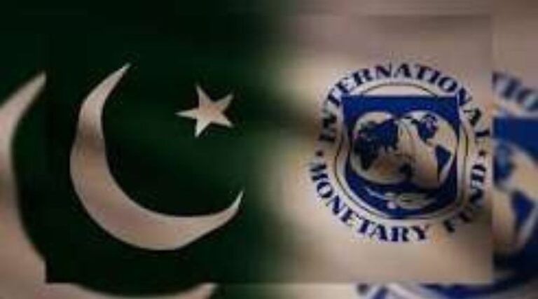 One of Three Pakistani Officials Set to Become New IMF Senior Adviser