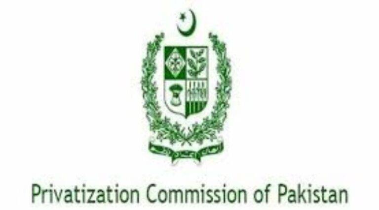 Govt Moves Closer to GEPCO Sale as Privatisation Process Advances