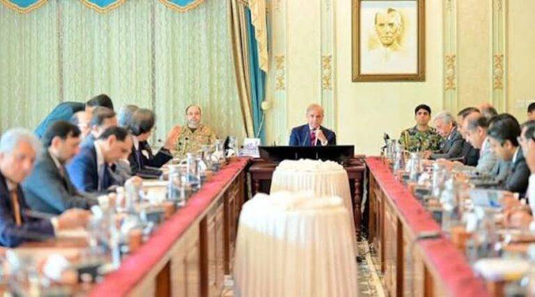 PM Shehbaz Orders More Financial Support for Small Businesses