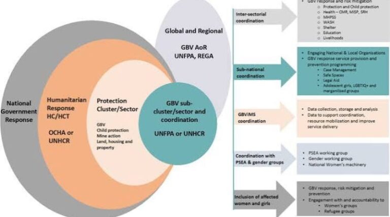 UN Study Calls for Stronger GBV Response During Disasters