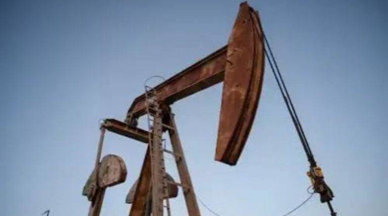 Petroleum Sales Fall 2% Year-on-Year to 1.35 Million Tons