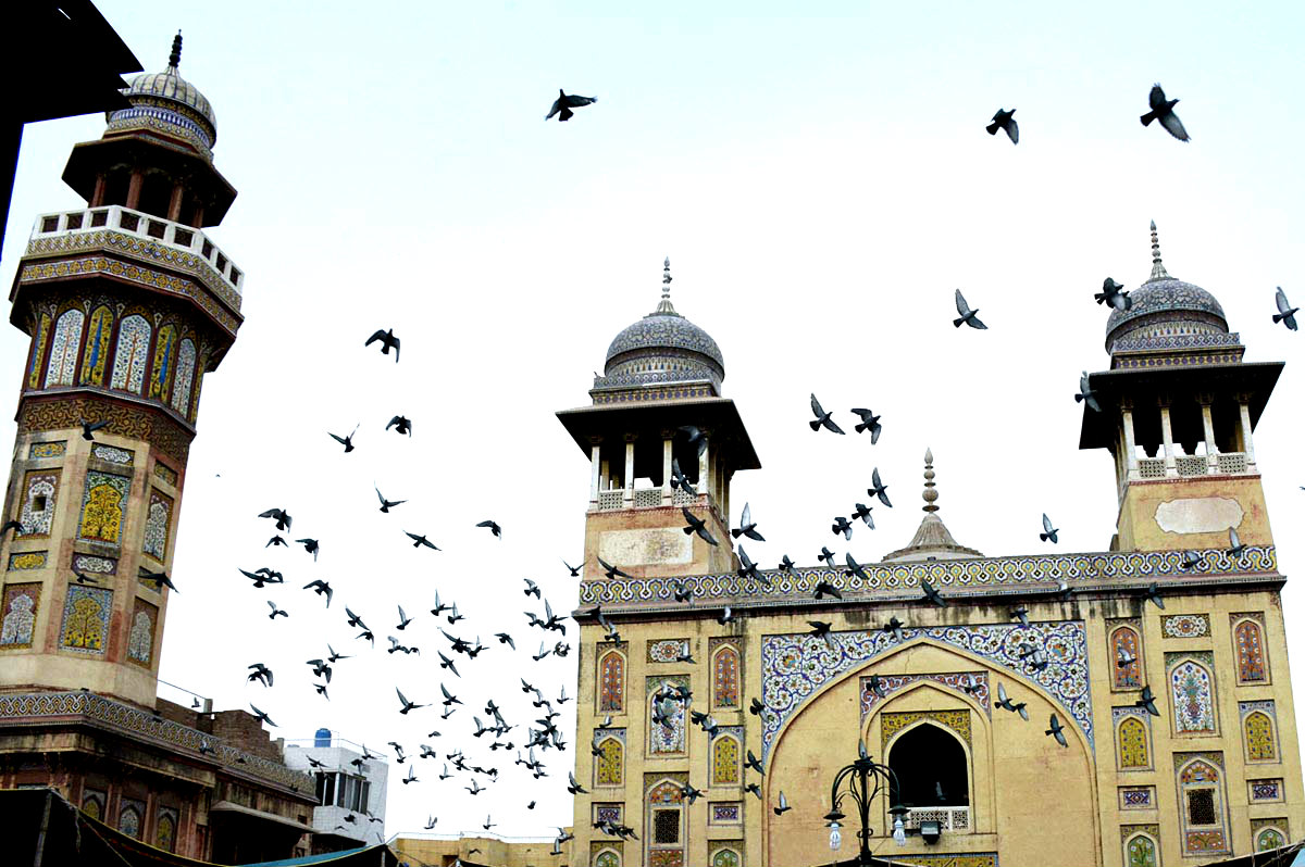 A View Of The Birds Seen Near The Historical Masjid Wazir Khan in Lahore
