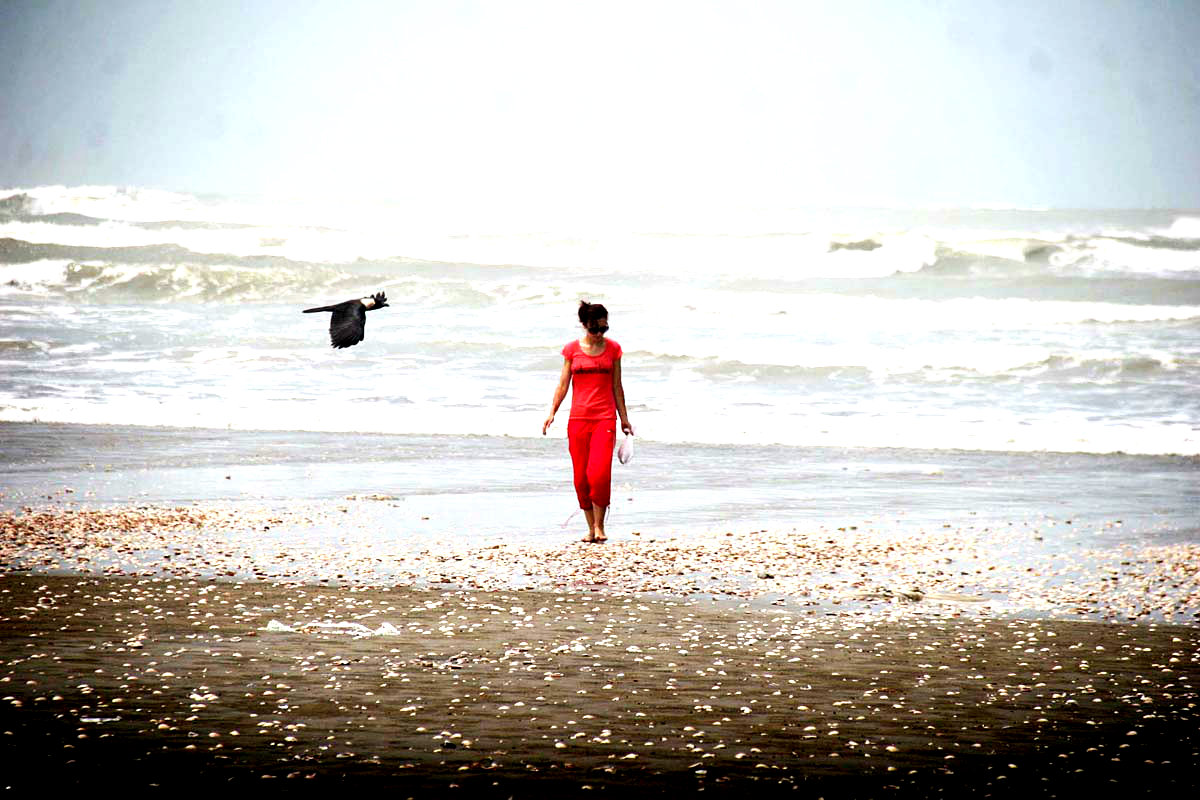 Karachi:A Woman Visitor Collecting Sea Shells At Sea View
