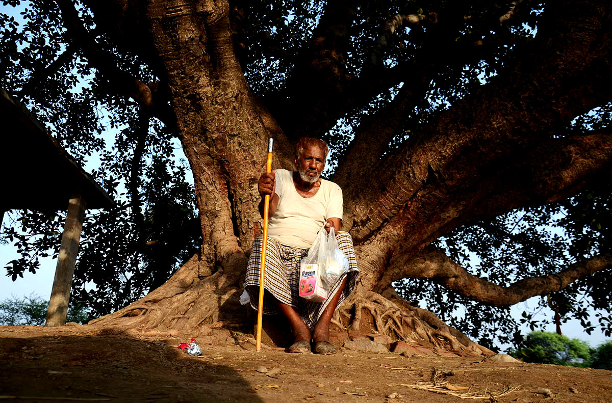Gujranwala:An Old Man Sitting Near An Old Tree In A Village